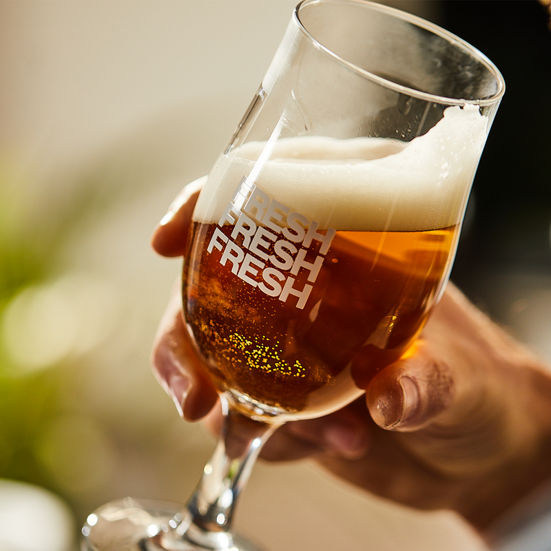 What is a Pilsner Beer? Pilsner vs Lager Explained